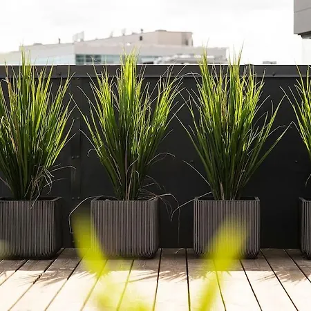 公寓 W Uus-hollandi With Sauna